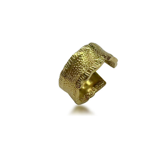DLB Chic Gold-Toned Titanium Open Band Ring