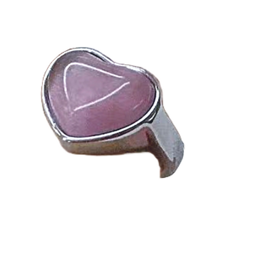 DLB Radiant Elegance: Titanium Fashion Ring with Jewel Accent